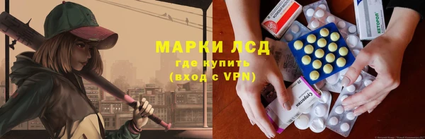 хмурый Арсеньев