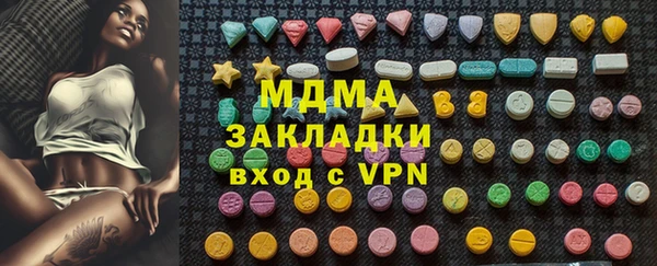 хмурый Арсеньев