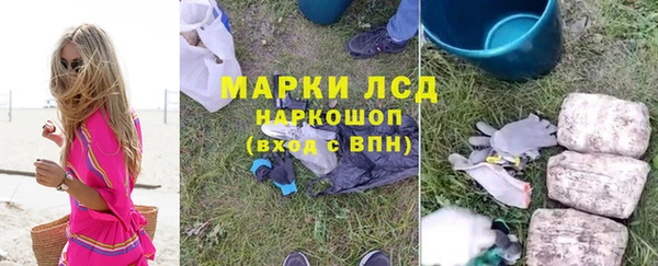 хмурый Арсеньев