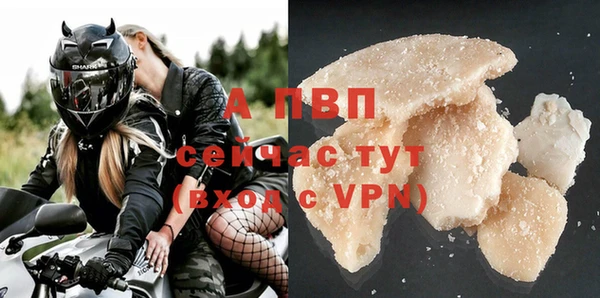 хмурый Арсеньев
