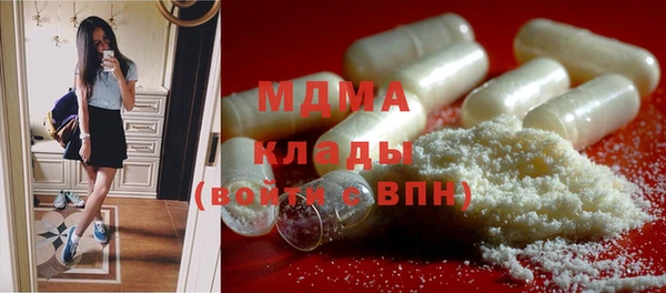 хмурый Арсеньев