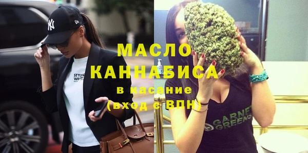 хмурый Арсеньев